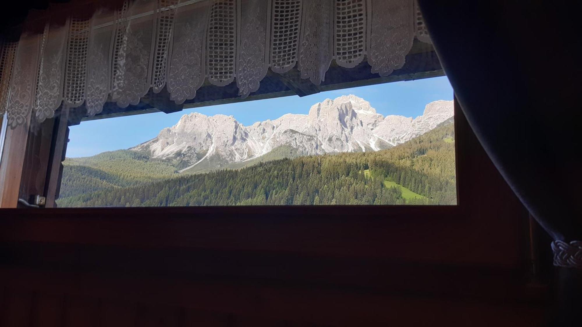 La Pineta Apartment Padola Dış mekan fotoğraf